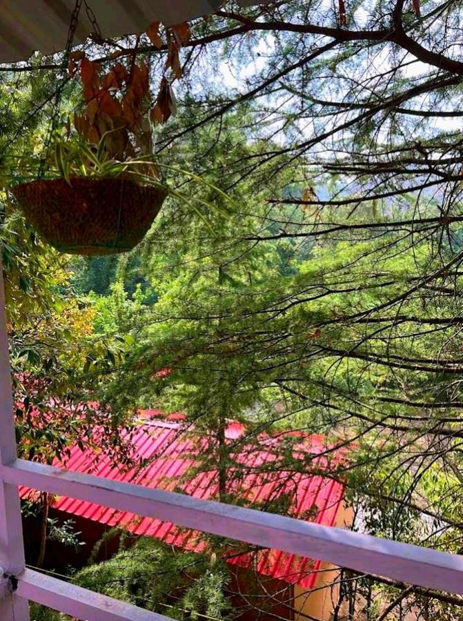 Aamod Resorts Dalhousie ! Luxury Cottage Resort Luaran gambar